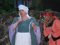 Die Bürger von Frankenberg (2009)