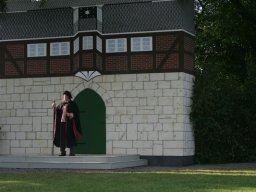 Die Bürger von Frankenberg (2009)