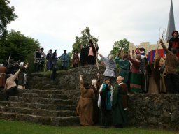 Die Bürger von Frankenberg (2009)