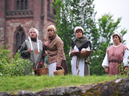 Die Bürger von Frankenberg (2009)