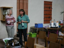 Der Besuch der alten Dame (2011)