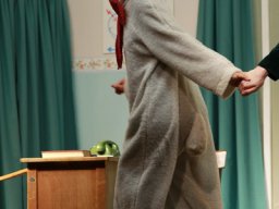 Mein Freund Harvey (2012)