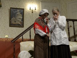 Arsen und Spitzenhäubchen (2014)