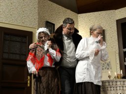 Arsen und Spitzenhäubchen (2014)