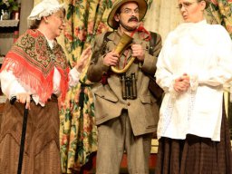 Arsen und Spitzenhäubchen (2014)