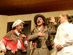 Arsen und Spitzenhäubchen (2014)