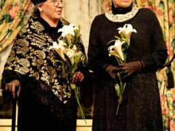 Arsen und Spitzenhäubchen (2014)