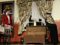 Arsen und Spitzenhäubchen (2014)