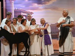 Der Prozess um des Esels Schatten